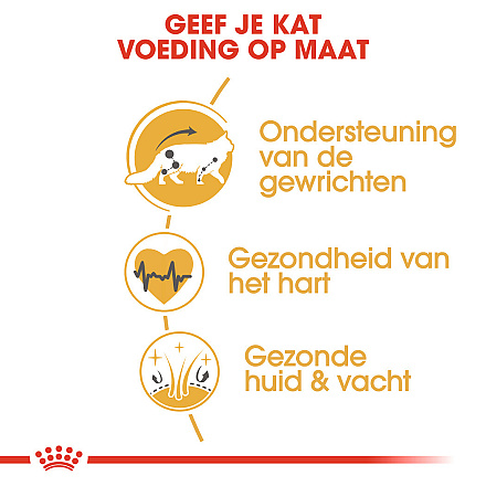 Royal Canin Kattenvoer Maine Coon Adult <br>400 gr