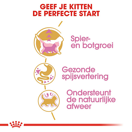 Royal Canin Kattenvoer British Shorthair Kitten 400 gr