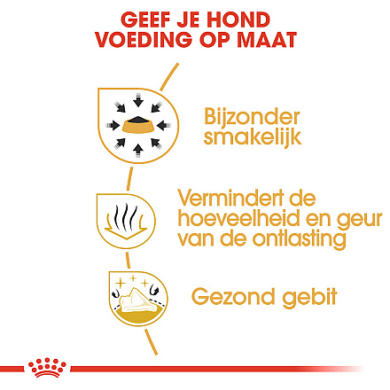 Royal Canin Hondenvoer Chihuahua Adult 500 gr