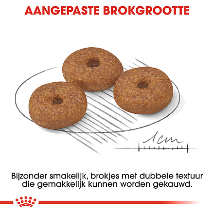 Royal Canin Hondenvoer Mini Ageing 12+ 800 Gr