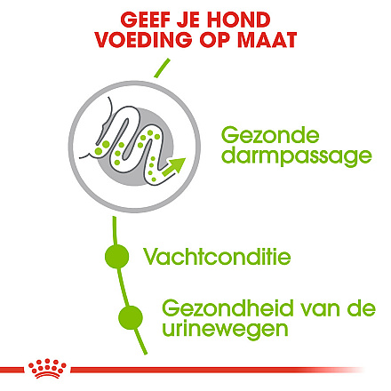 Royal Canin Hondenvoer<br> X-Small Adult 500 Gr