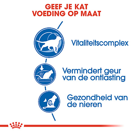 Royal Canin Kattenvoer Indoor 7+ 3,5 kg