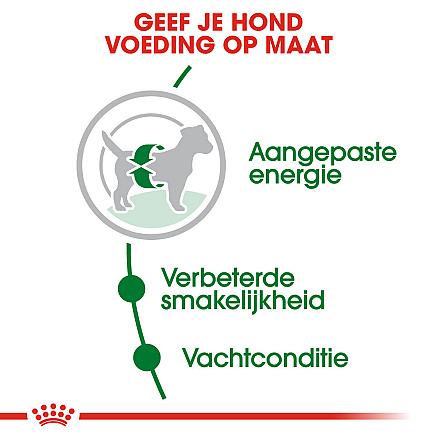Royal Canin hondenvoer Mini Adult 8 kg