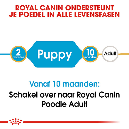 Royal Canin hondenvoer Poodle Puppy 3 kg