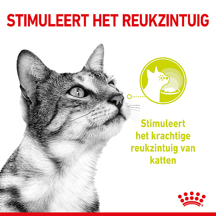 Royal Canin Kattenvoer Sensory Smell in gravy 12 x 85 gr