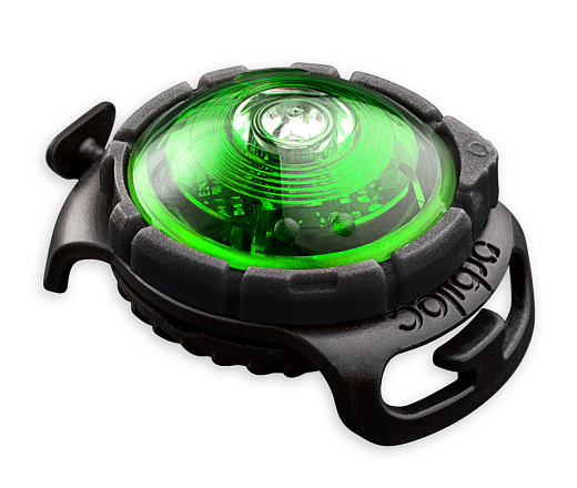 Orbiloc Safety Light Dog Dual groen