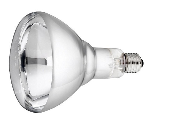 Lamp 150 w/wit Hard Glas Philips