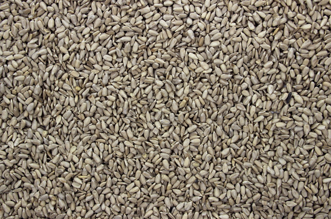 Zonnepitten Gepeld <br>4 kg