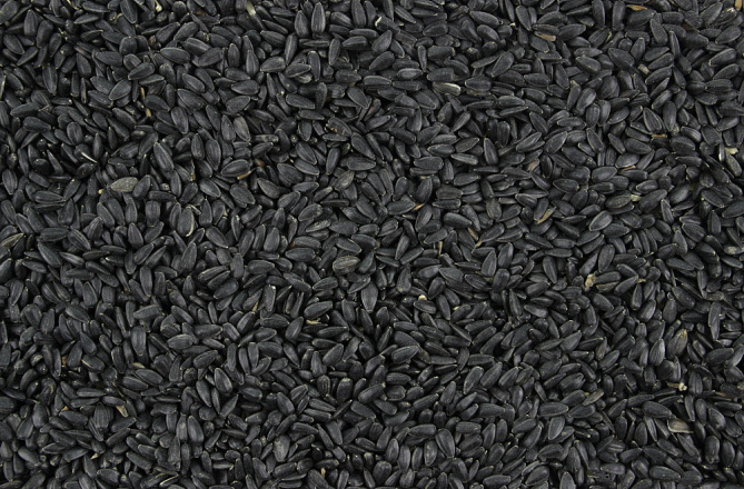 Zonnepitten Zwart 3 kg