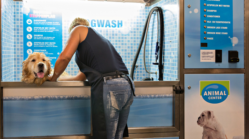 Dogwash