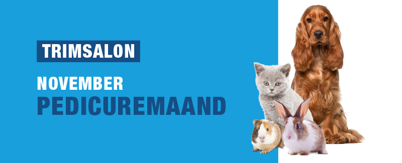 Pedicuremaanden 2019