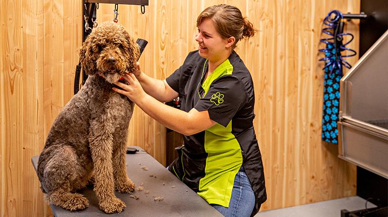 Bezoek onze trimsalons